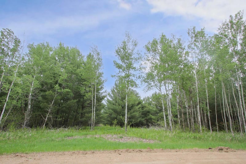 TBD Portage Cir, Browerville, MN 56438