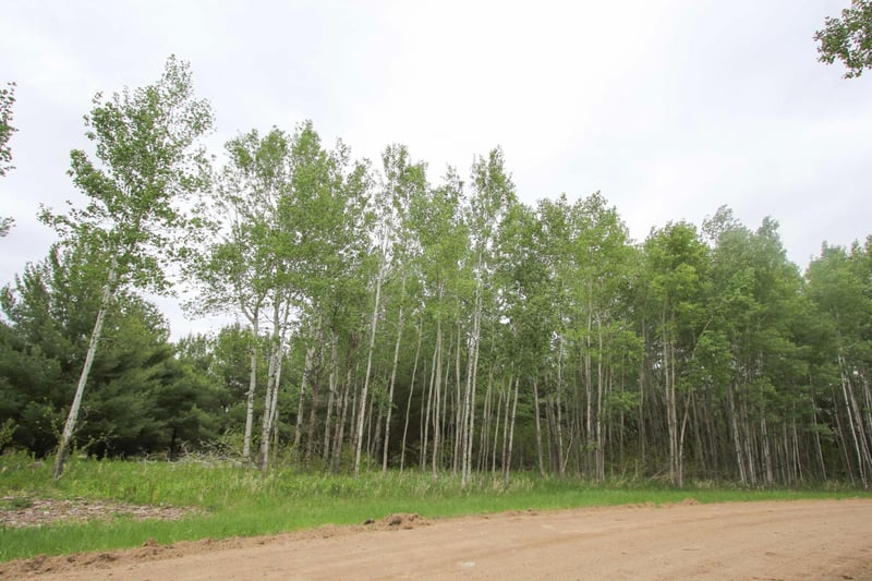 TBD Portage Cir, Browerville, MN 56438