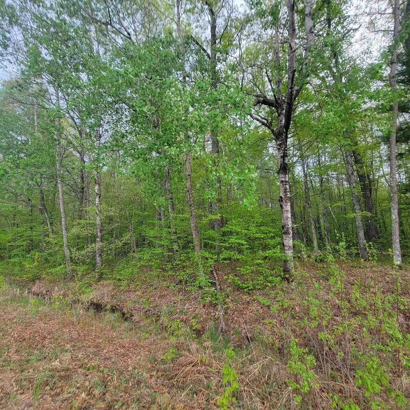 Lot 10 County Road A, Spooner, WI 54801