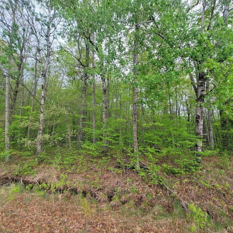 Lot 10 County Road A, Spooner, WI 54801