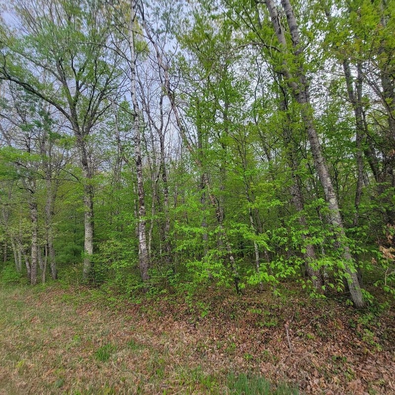 Lot 10 County Road A, Spooner, WI 54801