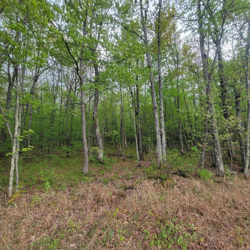 Lot 11 County Road A, Spooner, WI 54801