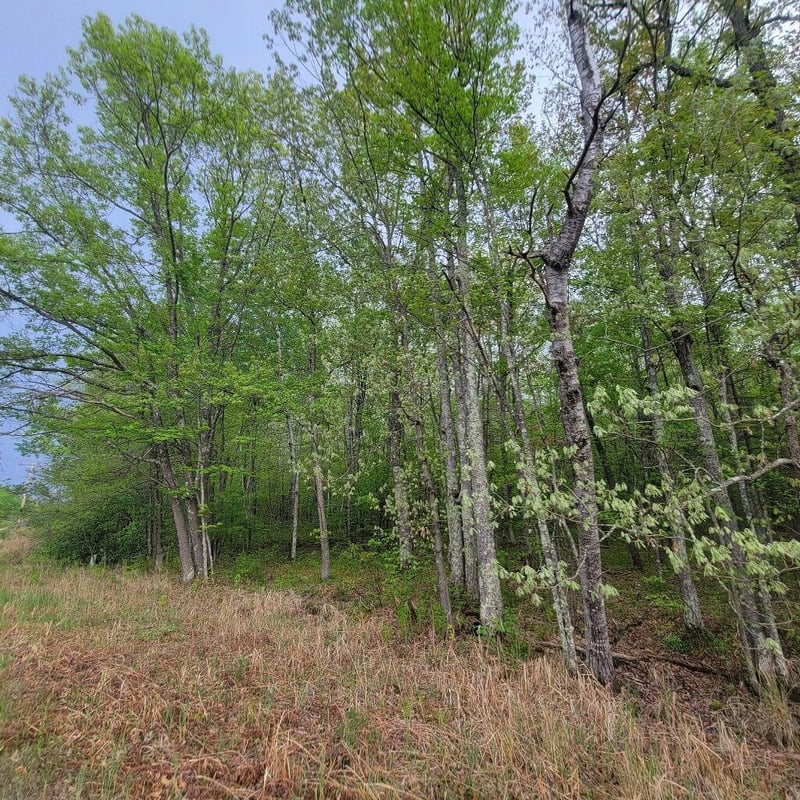 Lot 11 County Road A, Spooner, WI 54801