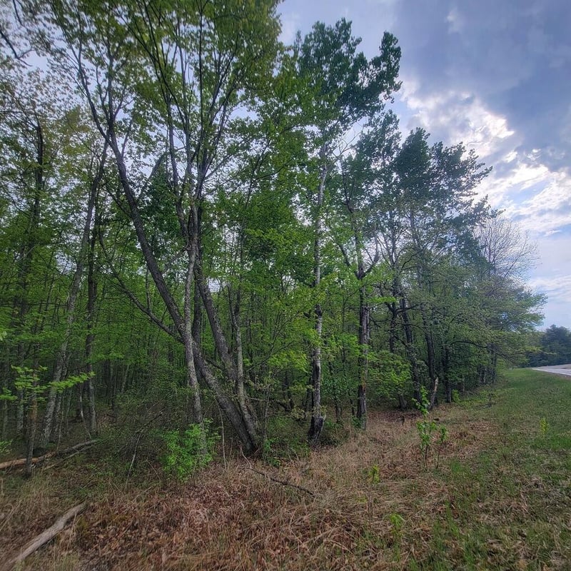 Lot 11 County Road A, Spooner, WI 54801