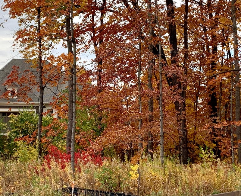 701 Shawnee Woods Rd, Medina, MN 55340