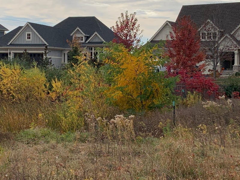701 Shawnee Woods Rd, Medina, MN 55340