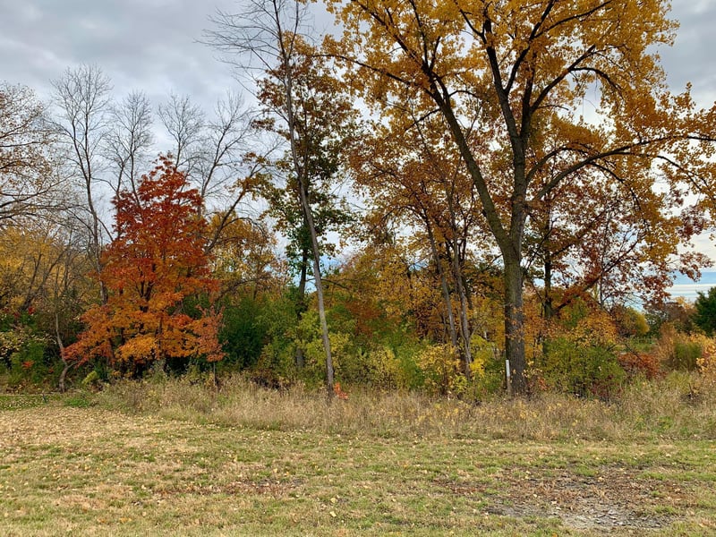 4400 Poppy Dr, Medina, MN 55340
