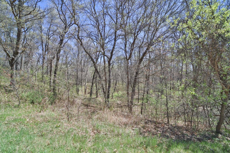 TBD Cedar St, Breezy Point, MN 56472