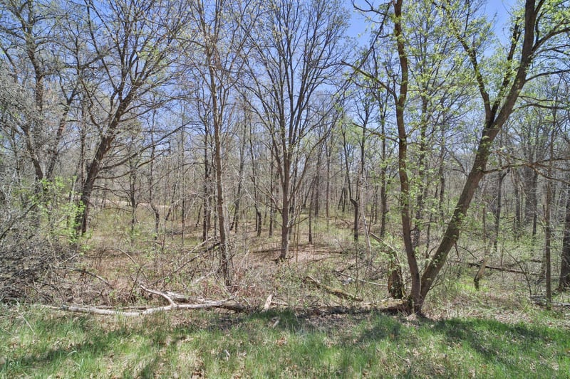 TBD Cedar St, Breezy Point, MN 56472