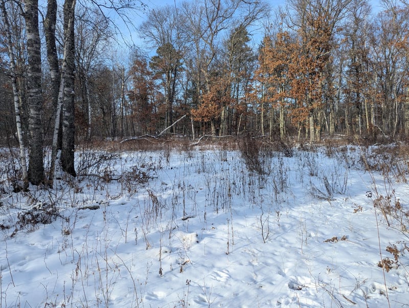 L4 B1 Shafer Rd, Cross Lake, MN 56442