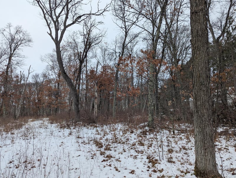 L4 B1 Shafer Rd, Cross Lake, MN 56442