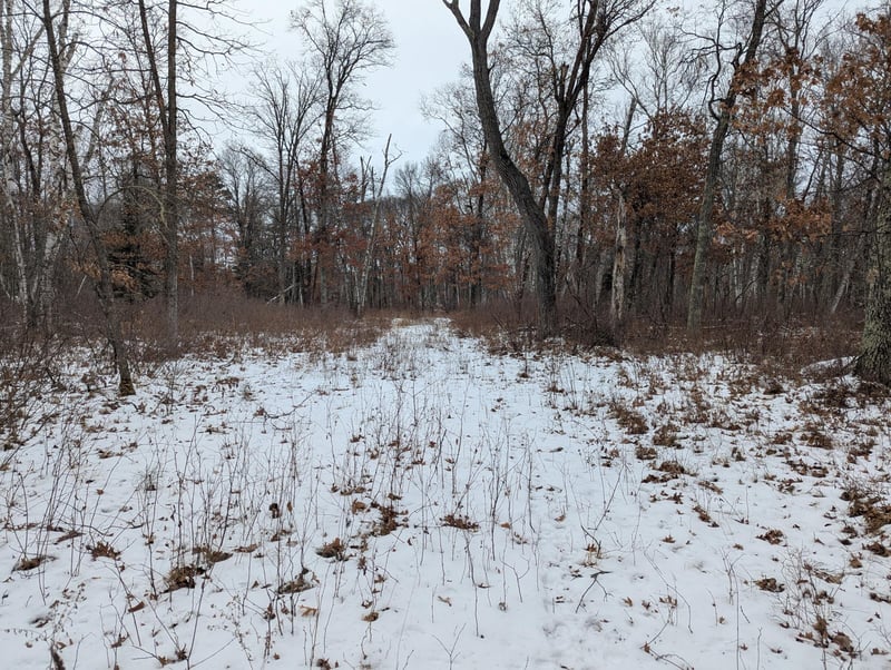 L4 B1 Shafer Rd, Cross Lake, MN 56442