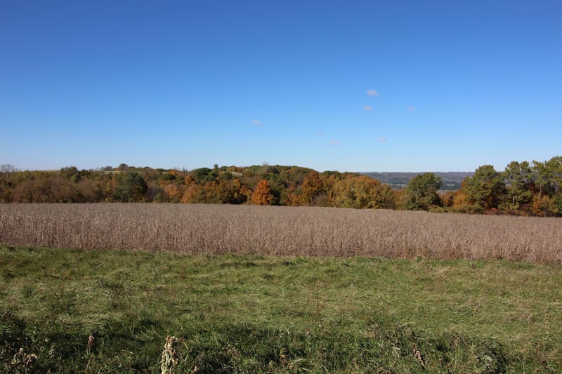 Lot 14 706th St, Wabasha, MN 55981