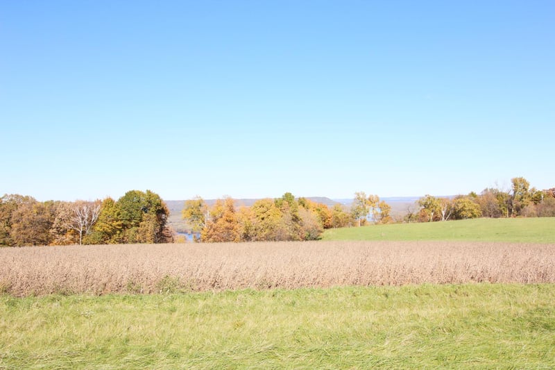 Lot 14 706th St, Wabasha, MN 55981
