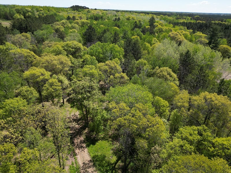TBD County 2, Nevis, MN 56467