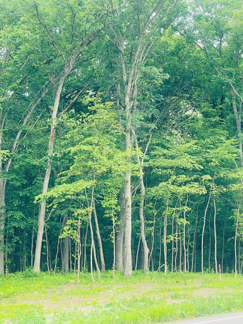 8090 181st Ave NW, Ramsey, MN 55303