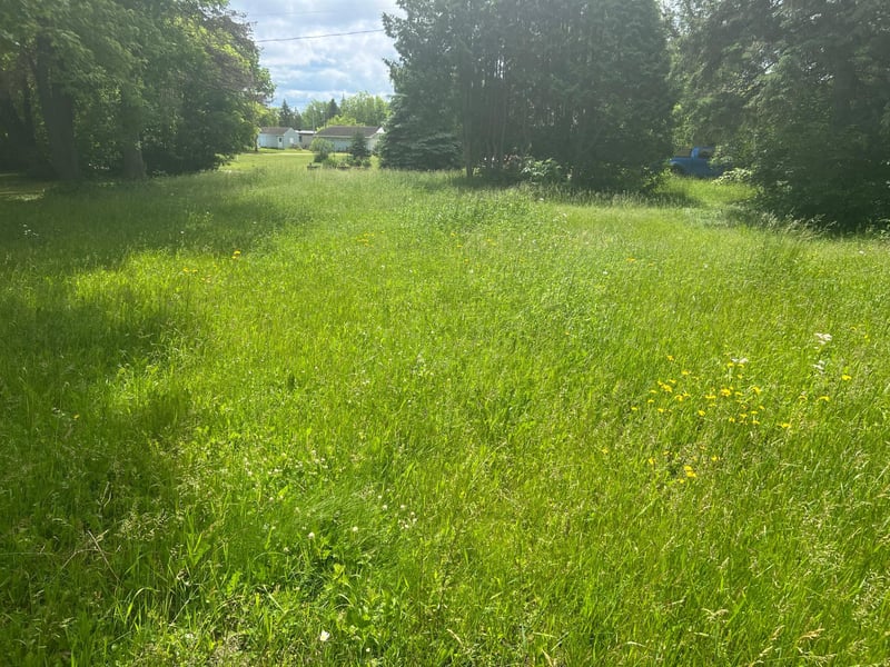 185 Broadway St W, Akeley, MN 56433