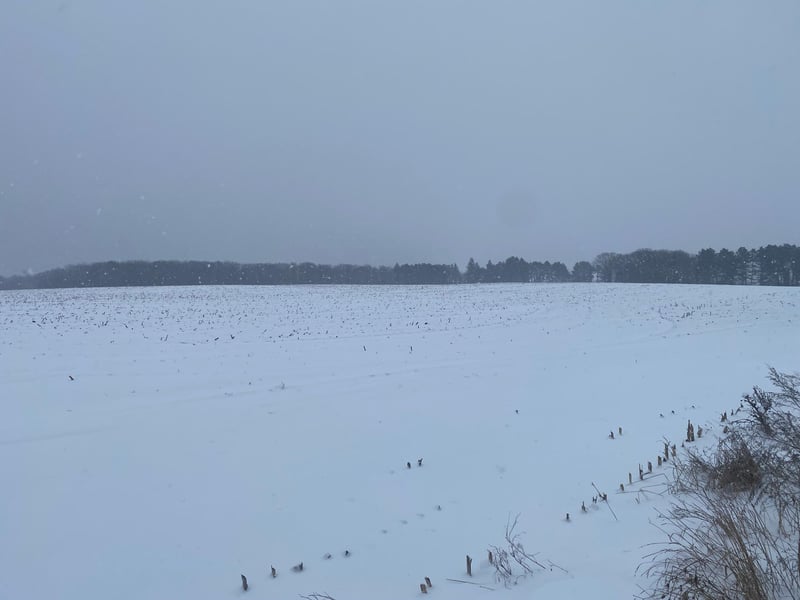 Xxx State Highway 29 Elmo Twp, Henning, MN 56551