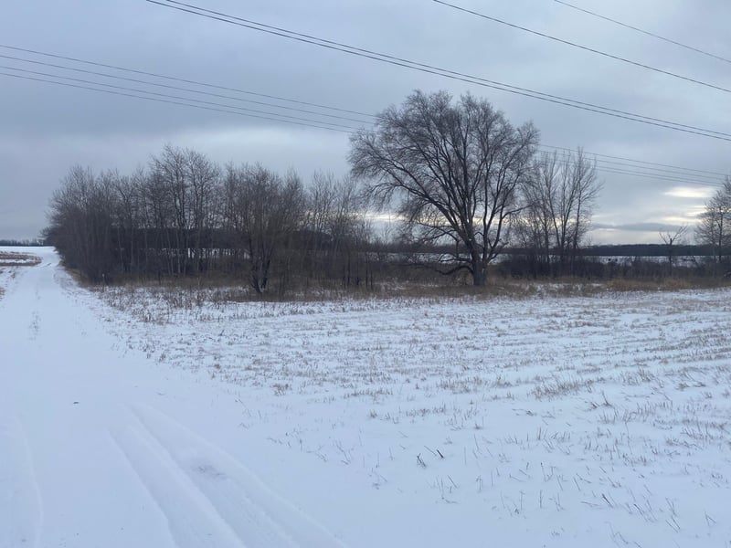 Xxx State Highway 29 Elmo Twp, Henning, MN 56551