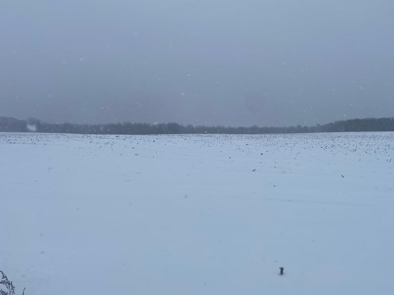 Xxx State Highway 29 Elmo Twp, Henning, MN 56551