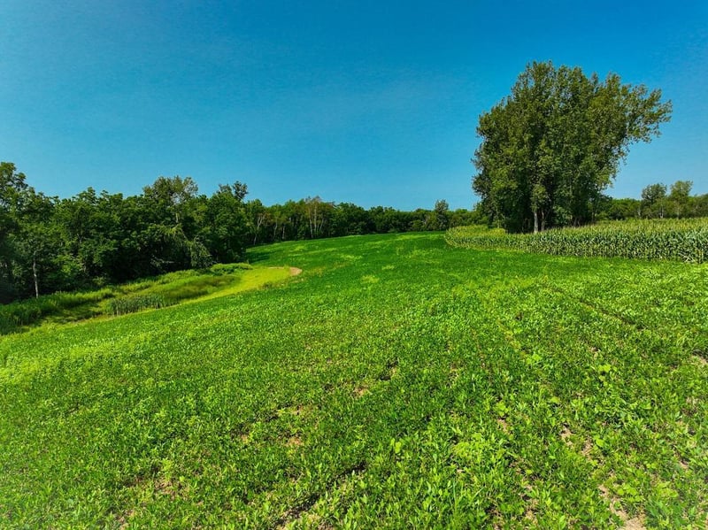 XX53 Bobcat Dr, Rushford, MN 55971