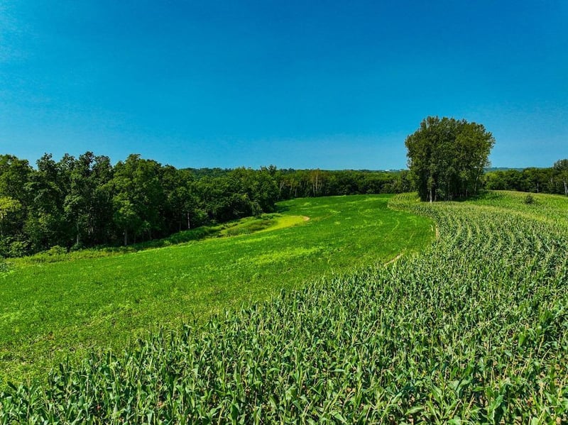 XX53 Bobcat Dr, Rushford, MN 55971