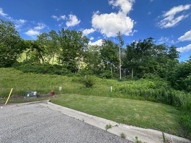 0 Novlan Ave, Rushford, MN 55971
