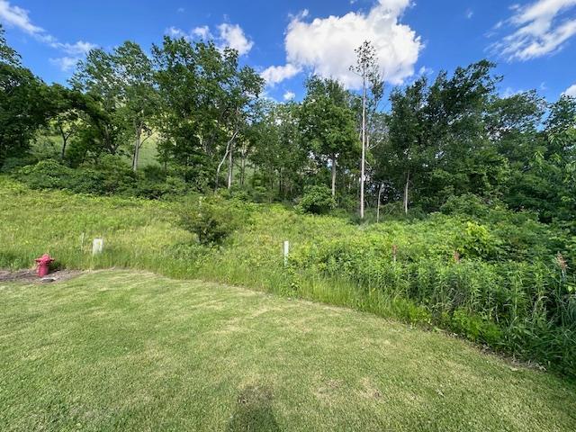 0 Novlan Ave, Rushford, MN 55971