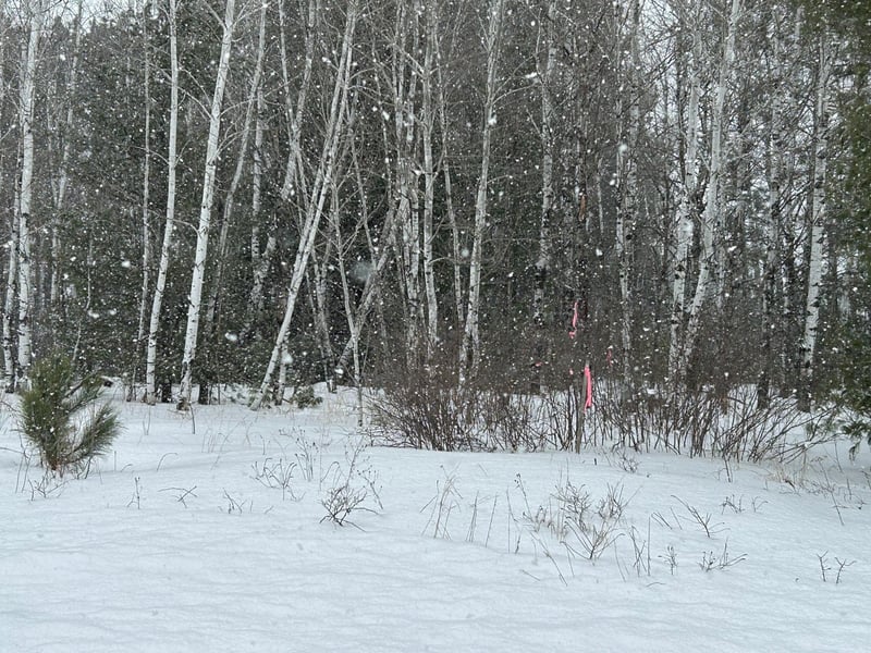 Lot 4 North Shore Dr, Iron River, WI 54847