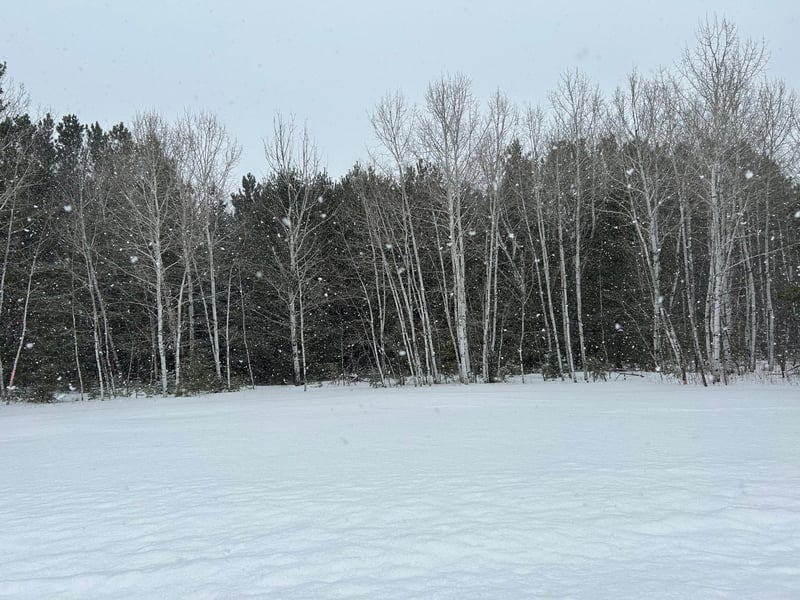 Lot 4 North Shore Dr, Iron River, WI 54847