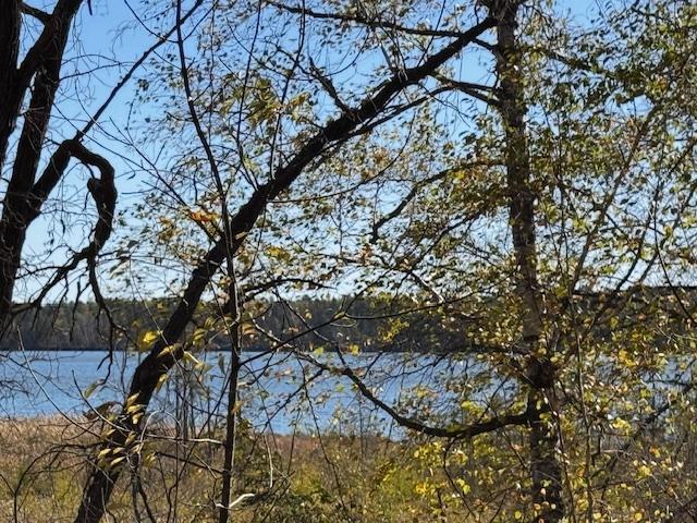 TBD 141st Ave, Menahga, MN 56464