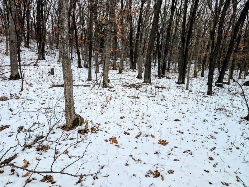 Lot 2 Murphy Ln, Eau Claire, WI 54703