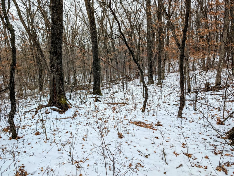 Lot 2 Murphy Ln, Eau Claire, WI 54703