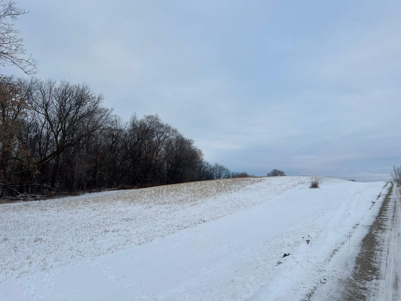 27055 River View Ct, Red Wing, MN 55066