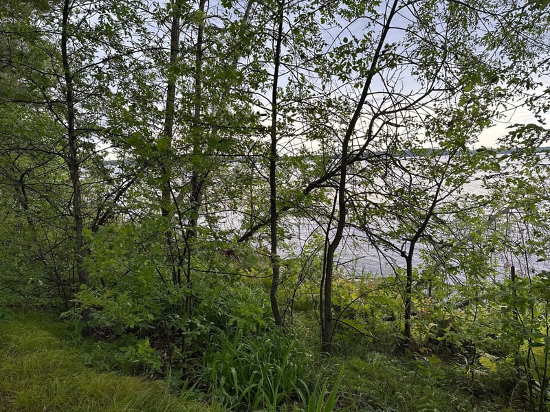 51992 209th Pl, Mcgregor, MN 55760