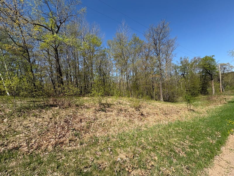 5xxx Banyan Dr, Garrison, MN 56450