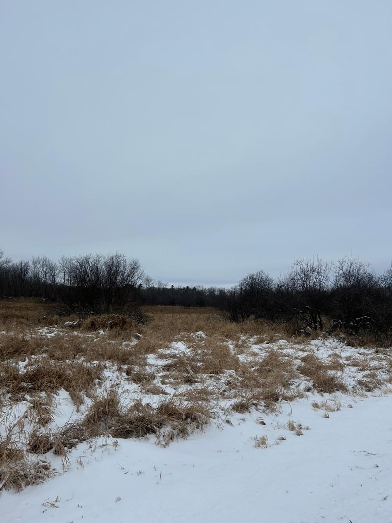 xxx 30th St, Clayton, WI 54004