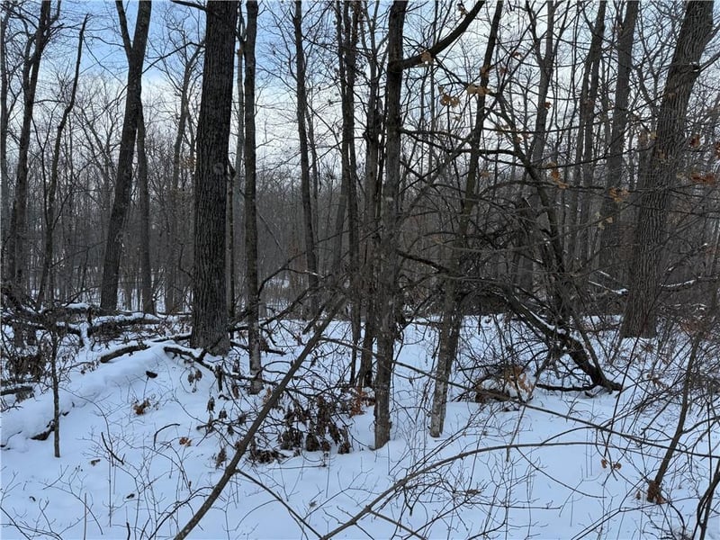 XXX Victory Heights Cir, Stone Lake, WI 54876