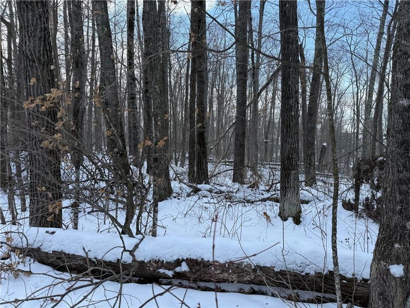 XXX Victory Heights Cir, Stone Lake, WI 54876