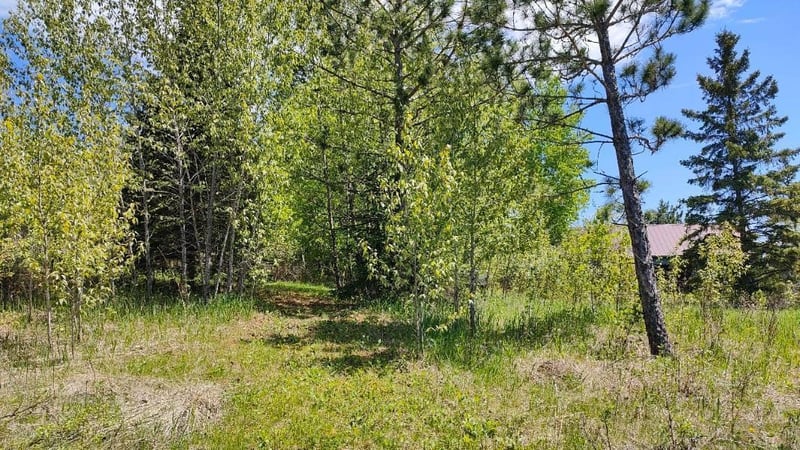 80046 Alder Ln, Tower, MN 55790