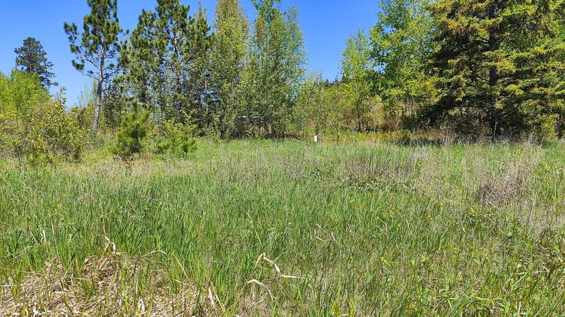 80046 Alder Ln, Tower, MN 55790