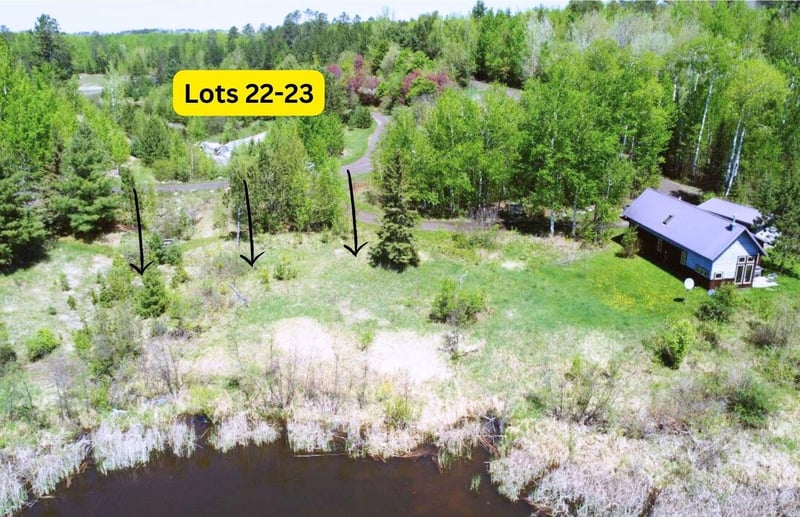 80046 Alder Ln, Tower, MN 55790