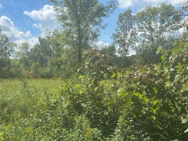 26596 Drew Ave, Elko New Market, MN 55020
