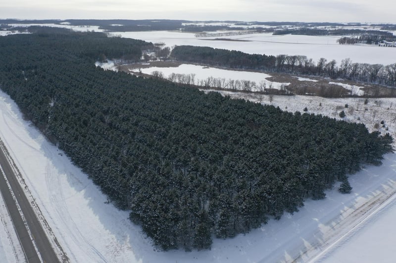 TBD Hwy 59, Erhard, MN 56534
