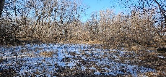 Parcel 3 Willow Rd NE, Carlos, MN 56319