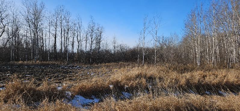 Parcel 3 Willow Rd NE, Carlos, MN 56319