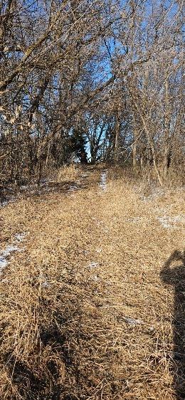 Parcel 3 Willow Rd NE, Carlos, MN 56319