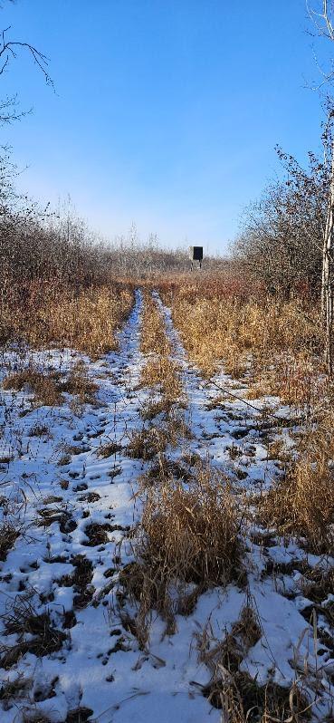 Parcel 3 Willow Rd NE, Carlos, MN 56319