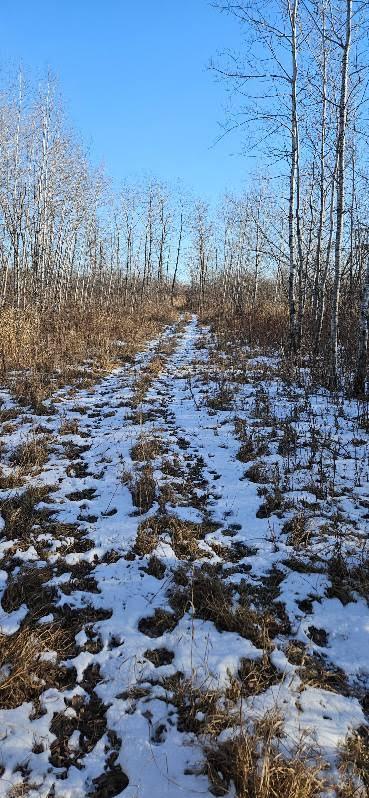 Parcel 3 Willow Rd NE, Carlos, MN 56319
