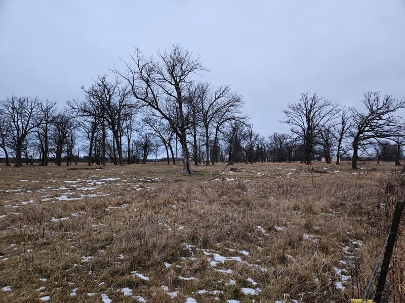 Parcel 5 Willow Rd NE, Carlos, MN 56319